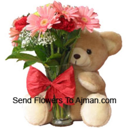 12 Red Carnations with 12 Inch Teddy