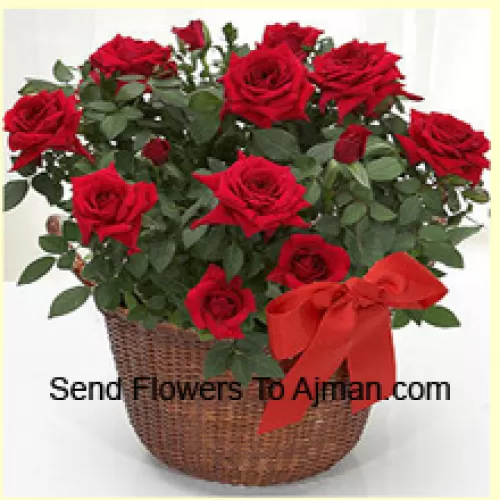 A Beautiful Arrangement Of 18 Red Roses With Seasonal Fillers