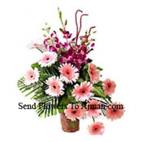 Sensationelle Gerberas mit Orchideen