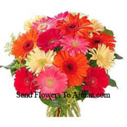 15 Assorted Gerberas