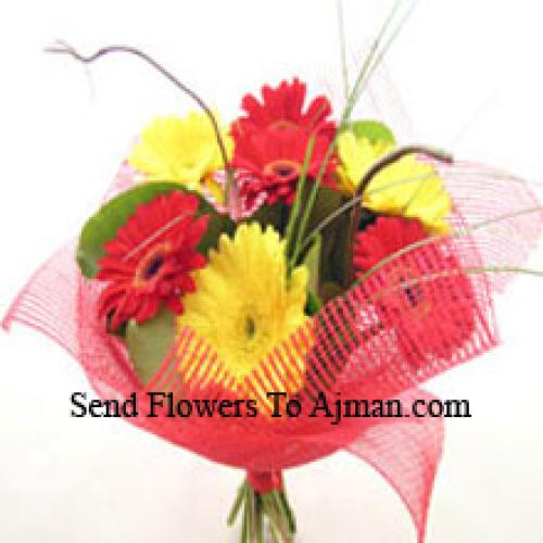 Cute Mixed Gerberas