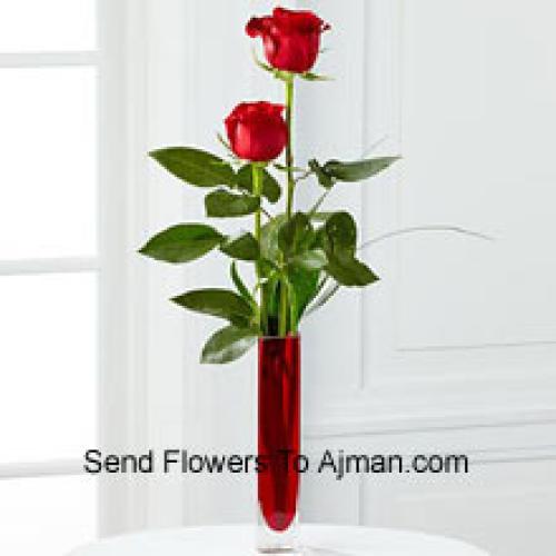 2 Sweet Red Roses in Vase